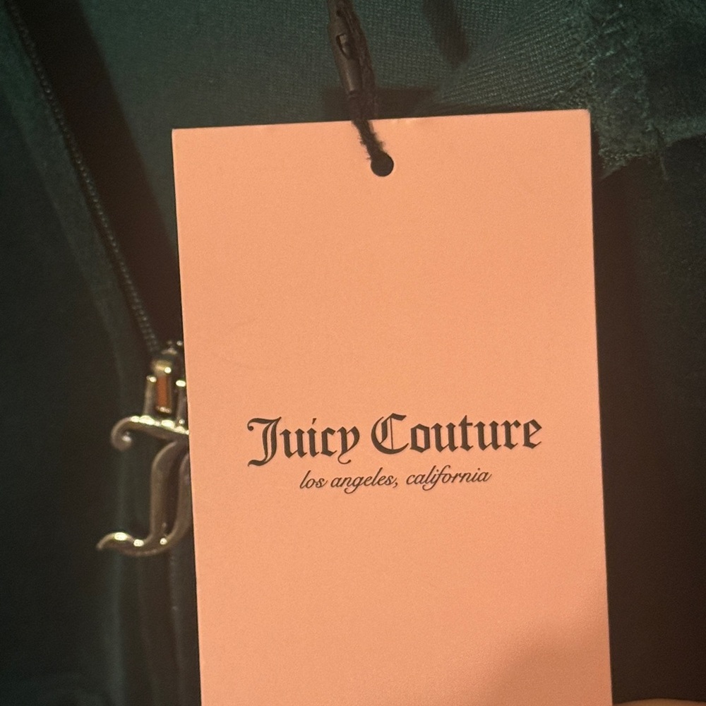 Juicy Couture Dark Green Velour Jogger Set - Picture 10 of 10